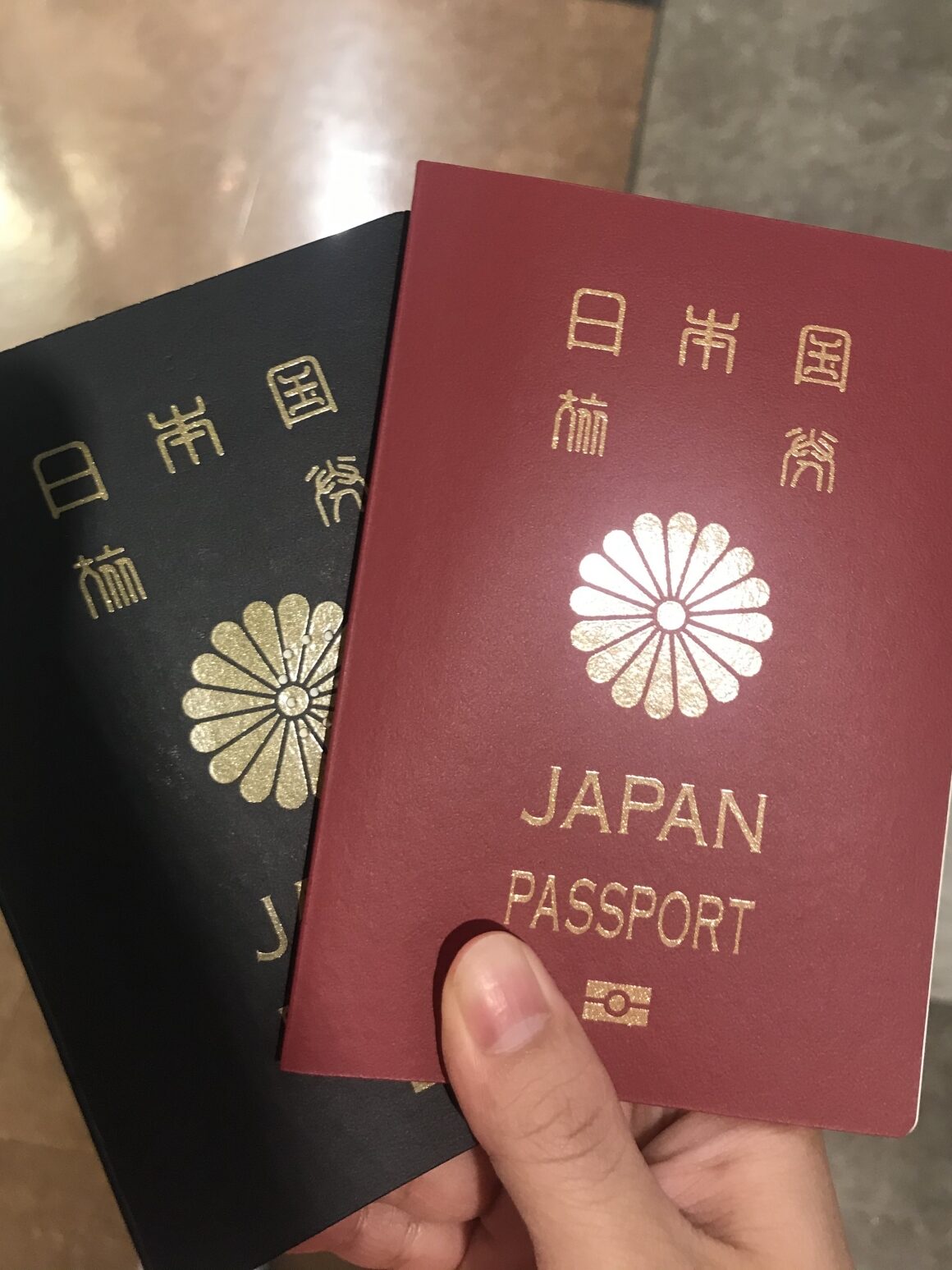 日本の赤いパスポートと紺色のパスポート