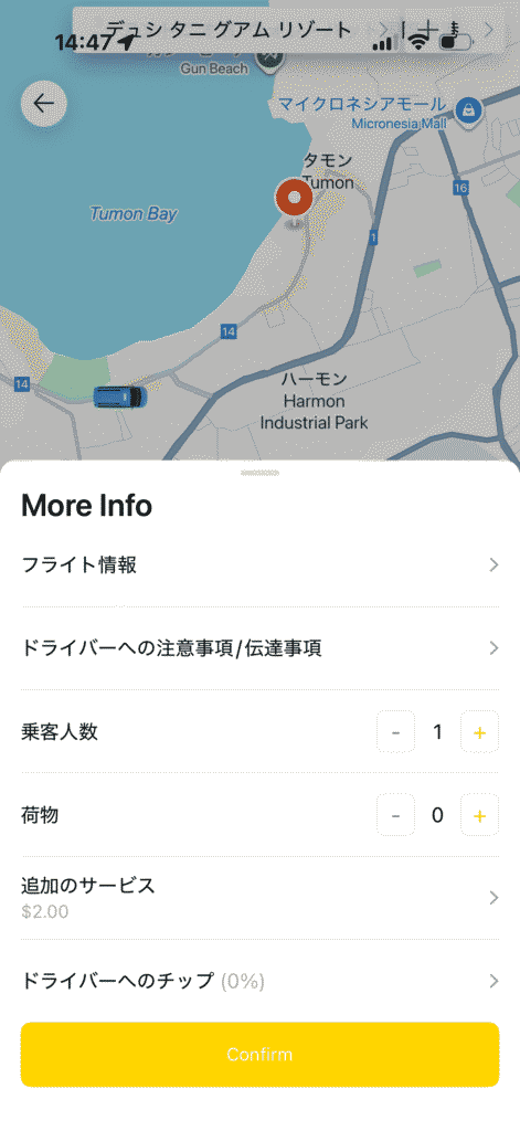 ストロールのオプションのMoreInfo 画面。フライト情報や乗客人数、荷物、追加サービス、チップなどの記載
