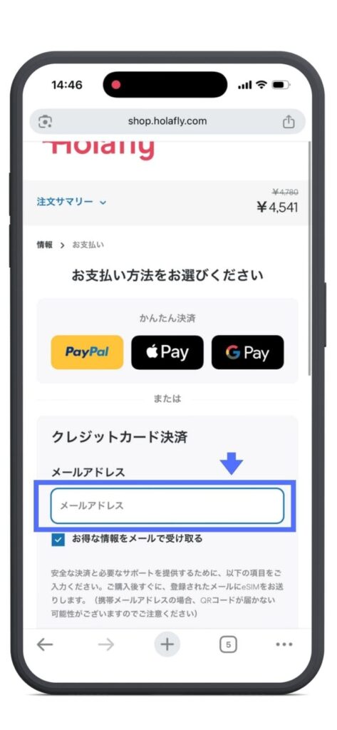 Holafly（オラフライ）公式サイト　支払い方法の選択　paypal Appiepay GooglePay メールアドレス入力画面