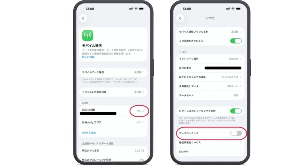 モバイル通信の主回線はオン 主回線のドコモのデータローミングをオフ